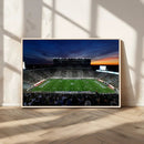 Michigan State Spartans Football Team Print - East Lansing