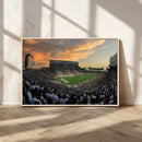 Michigan State Spartans Football Team Print - East Lansing