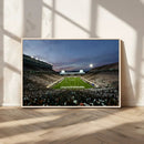 Michigan State Spartans Football Team Print - East Lansing