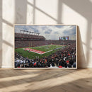Rutgers Scarlet Knights Football Team Print - SHI Stadium,