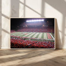 Rutgers University Scarlet Knights Football Team Print -