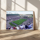 The Texas Christian University TCU Horned Frogs Football