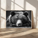 Resting Grizzly 399 Bear Canvas Print | Ready to Hang Wall by MyGreatCanvas | Canvas Wall Art Prints | Photo Prints & Wall Decor