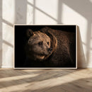 Wild Grizzly 399 Bear Canvas Wall Art Print, Bear Animal by MyGreatCanvas | Canvas Wall Art Prints | Photo Prints & Wall Decor