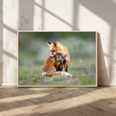 Heartwarming Fox and Baby Cub Wall Art | Ready to Hang by MyGreatCanvas | Canvas Wall Art Prints | Photo Prints & Wall Decor