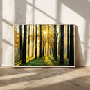 Sunlit Forest Wall Art Canvas Print – Large Framed Woodland