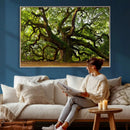 Angel Oak Tree Wall Art Canvas Print | Forest Tree Nature