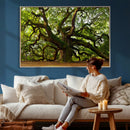 Angel Oak Tree Wall Art Canvas Print | Forest Tree Nature