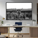 Black and White Highland Cow Canvas Wall Art, Longhorn by MyGreatCanvas | Canvas Wall Art Prints | Photo Prints & Wall Decor