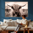 Scottish Cow Longhorn Wall Art Canvas Print