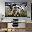 Charming Sheep Portrait Wall Art – Trio of Woolly Companions by MyGreatCanvas | Canvas Wall Art Prints | Photo Prints & Wall Decor