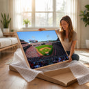Cincinnati Reds Baseball Canvas Print - American Ball
