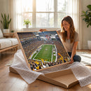Pittsburgh Steelers Print - Pittsburgh Heinz Field Stadium