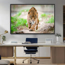 Leopard on the Prowl - Stunning Large Framed Leopard Wall