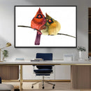 Cardinal Bird Canvas Wall Art - Male and Female Cardinal