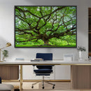 Angel Oak Tree Wall Art Canvas Print – Framed Majestic