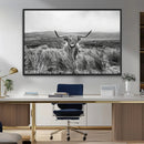 Monochrome Highland Cow Wall Art Canvas Print – Framed by MyGreatCanvas | Canvas Wall Art Prints | Photo Prints & Wall Decor
