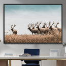 Elk Herd Wall Art Canvas Print – Framed Wildlife Photography