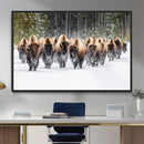 Bison Herd Scene Wall Art Canvas Print – Framed Western by MyGreatCanvas | Canvas Wall Art Prints | Photo Prints & Wall Decor