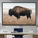 American Bison Wall Art Canvas Print – Majestic Buffalo