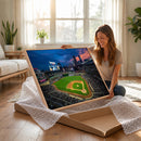 Target Field Wall Art Canvas Print – Baseball Stadium Scene,