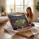 Chicago Bears Soldiers Field Wall Art Canvas Print – Framed