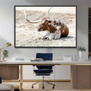 Majestic Longhorn Wall Art Canvas Print – Resting on Sunlit by MyGreatCanvas | Canvas Wall Art Prints | Photo Prints & Wall Decor