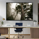 Misty Forest Tall Trees Foggy Atmosphere Nature Serenity by MyGreatCanvas | Canvas Wall Art Prints | Photo Prints & Wall Decor