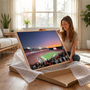 Dooley Stadium Wall Art, Sports Arena Canvas Print, Dooley