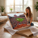 Auburn Stadium Wall Art Canvas Print, Jordan Hare Stadium