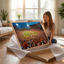 Clemson Tigers Memorial Stadium Wall Art Canvas Print