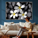 Plumeria Frangipani Black Stone Canvas | White Flower Spa by MyGreatCanvas | Canvas Wall Art Prints | Photo Prints & Wall Decor