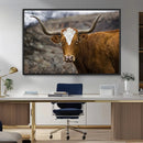 Texas Longhorn Canvas Wall Art - Longhorn Steer Canvas Wall