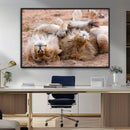 Lion Pair Wall Art Canvas Print – Framed Wildlife Scene with