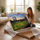 Citizens Bank Park Philadelphia Phillies Wall Art Canvas |
