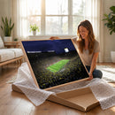 Michigan Wolverines Football Canvas Wall Decor, Football
