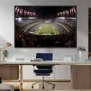 Eagles Field Stadium Wall Art - Philadelphia Eagles Football