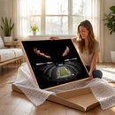 Eagles Field Stadium Wall Art | Philadelphia Eagles Football