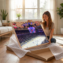 Madison New York Rangers Hockey Stadium Wall Art Canvas