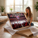 Carolina Hurricanes Ice Hockey Stadium Wall Art, Carolina