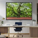 Framed Angel Oak Tree Wall Art - 3-Panel Canvas Prints,