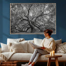 Majestic Angel Oak Tree Black and White Canvas Print – Multi by MyGreatCanvas | Canvas Wall Art Prints | Photo Prints & Wall Decor