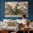 Sepia Framed Angel Oak Tree Wall Art - 3-Panel Canvas