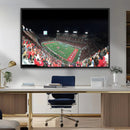 Houston Cougars Football Team Print - Houston TDECU Stadium
