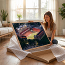 University of Illinois Fighting Illini Football Team Print -