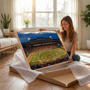 University of Illinois Fighting Illini Football Team Print -