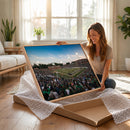 University of Charlotte 49ers Football Team Print -