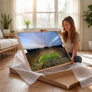 University of Michigan Wolverines Football Team Print - Ann