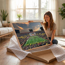 University of Michigan Wolverines Print Canvas, Football