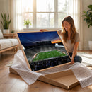 Michigan State Spartans Football Team Print - East Lansing